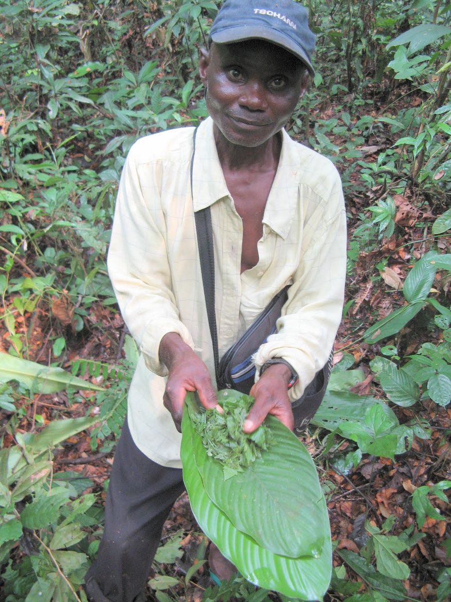 Fieldwork in the field