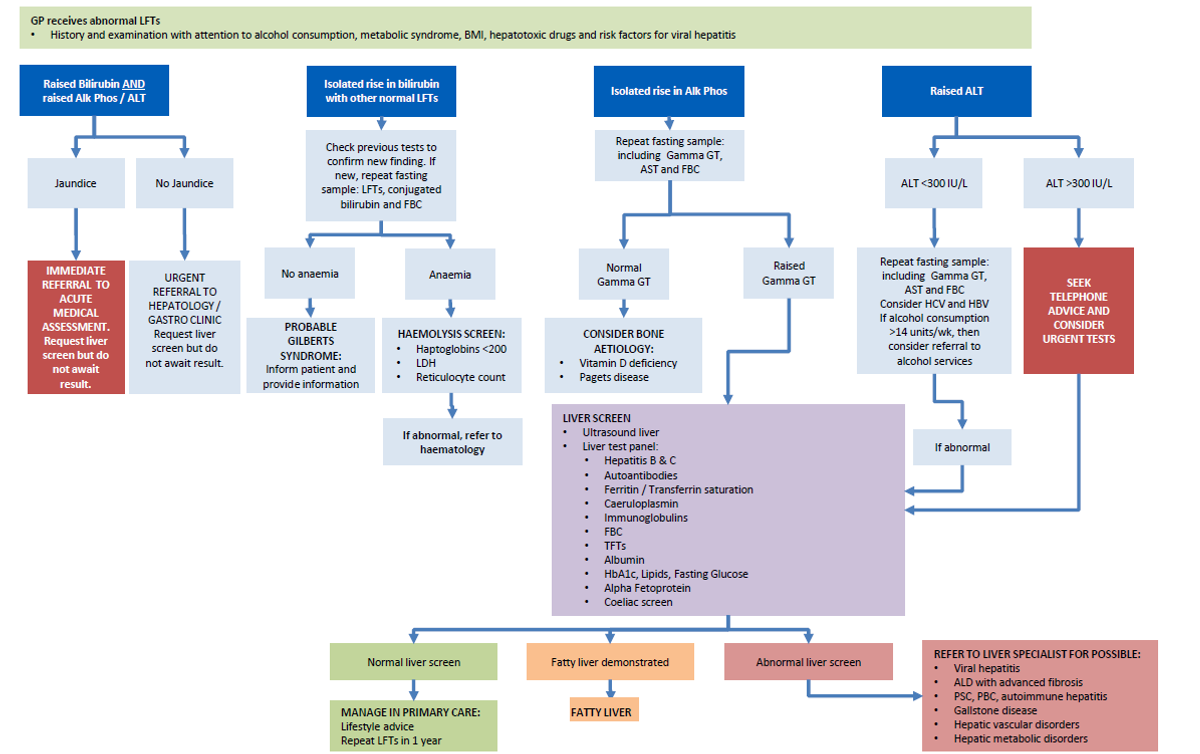 Abnormal liver function test (LFT) – GPnotebook