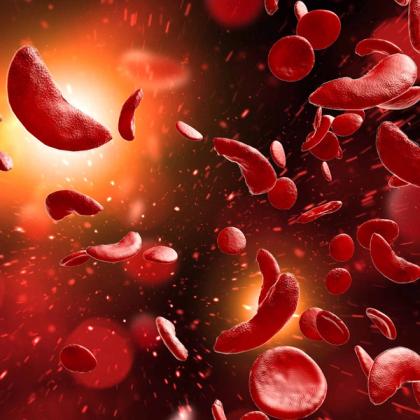 Close-up illustration of red blood cells in a dynamic and glowing environment, depicting a medical or biological concept.