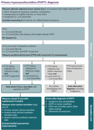 Primary hyperparathyroidism (PHPT): Investigations – GPnotebook ...