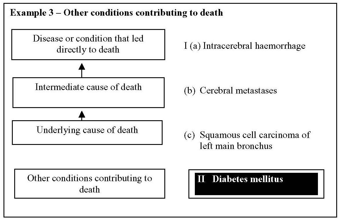 Diagram illustrating the hierarchy of causes contributing to death, including underlying, intermediate, and direct causes, with examples like intracerebral hemorrhage, cerebral metastases, squamous cell carcinoma, and diabetes mellitus.