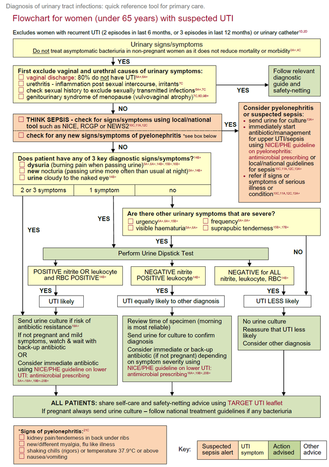 UTI woman under 65 years old – GPnotebook - GPNotebook