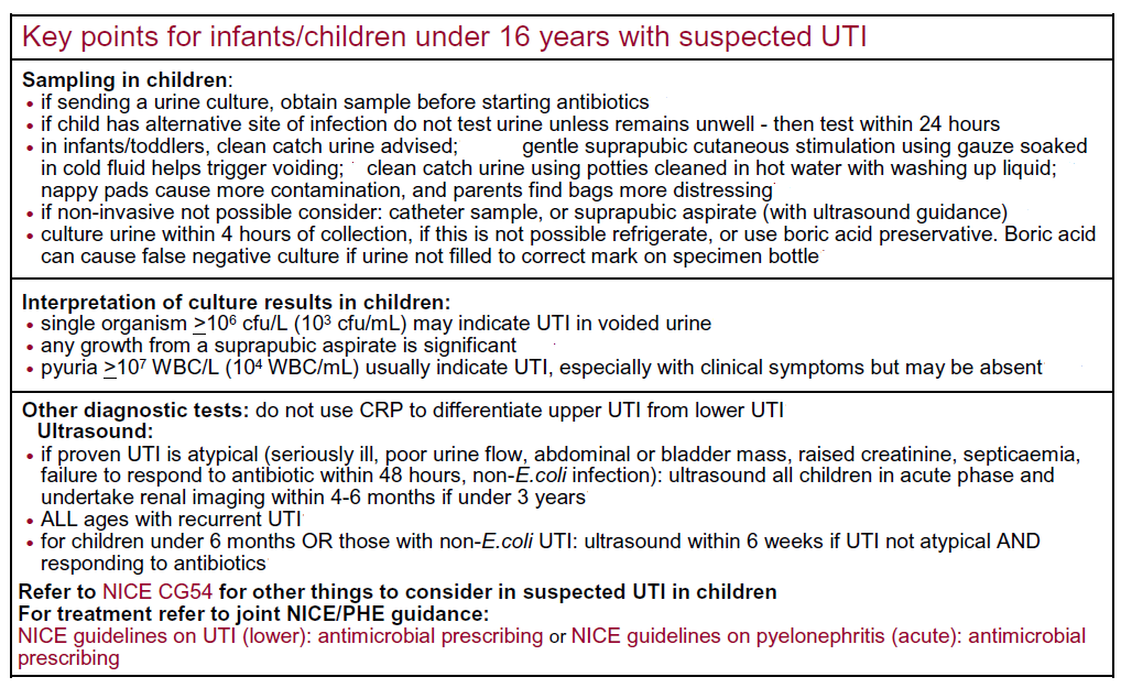 Text document detailing key points for managing suspected urinary tract infections in infants and children under 16, including sampling protocols, interpretation of culture results, additional diagnostic tests, and guidelines references.