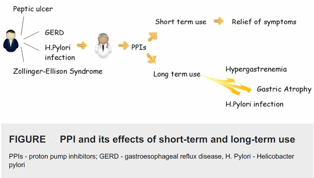 Diagram illustrating the effects of short-term and long-term use of proton pump inhibitors (PPIs) on health conditions such as GERD, Peptic ulcer, and Zollinger-Ellison Syndrome, leading to outcomes like symptom relief or complications like gastric atrophy and hypergastrinemia.