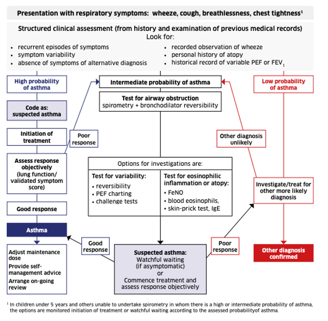 Diagnosis of asthma in adults and children – GPnotebook