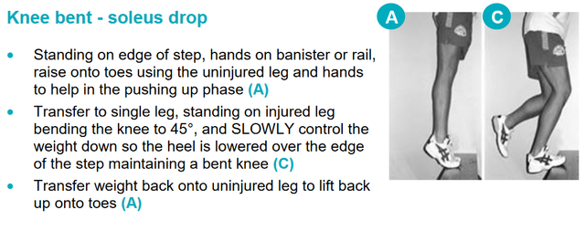 Alfredson protocol for treatment of Achilles tendinosis – GPnotebook ...