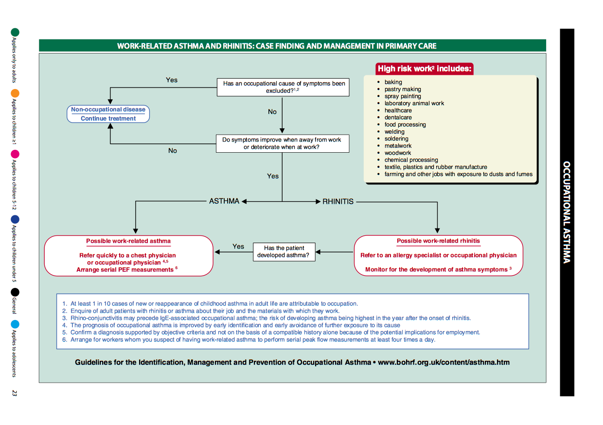 Flowchart detailing the case finding and management of work-related asthma and rhinitis in primary care, including decision paths based on symptoms and exposure, and high-risk work categories.