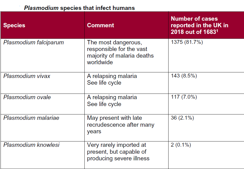 Malignant tertian malaria – GPnotebook