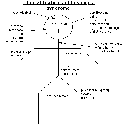 Diagram illustrating the clinical features of Cushing's syndrome, including psychological effects, skin changes, and body fat distribution.