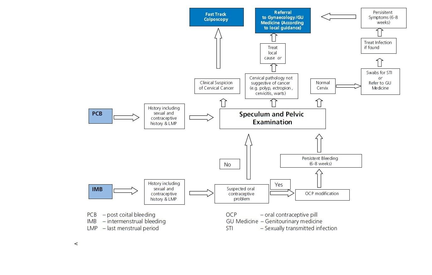 Postmenopausal Bleeding Algorithm Clinical practice guidance for the assessment of young women aged 20-24 ...