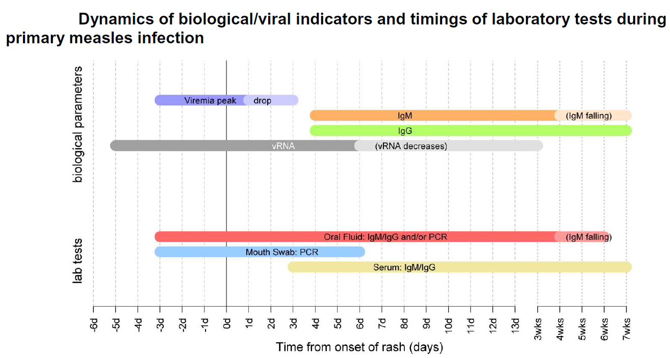Timeline graph showing the dynamics of biological and viral indicators and the timing of laboratory tests during a primary measles infection, indicating the presence and decrease of viremia, IgM, and IgG over days from onset of rash.