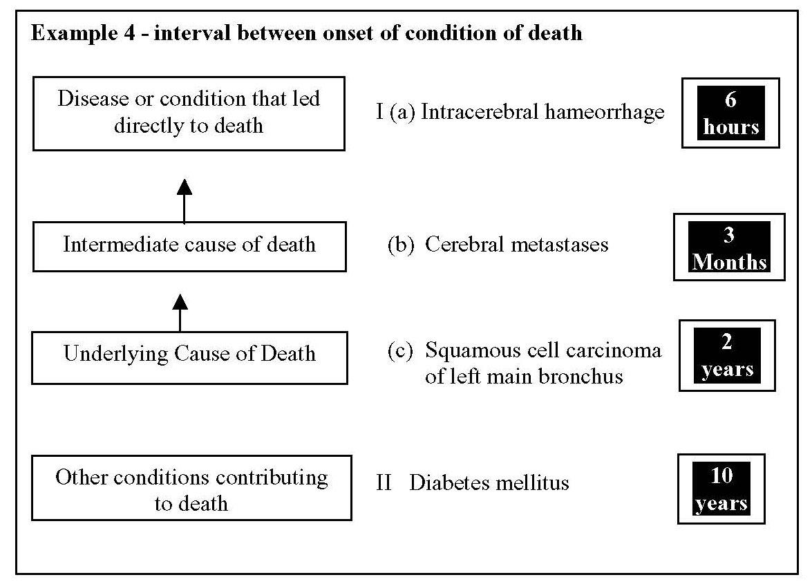 Flowchart explaining the interval between onset of conditions leading to death, including underlying and contributing causes such as intracerebral hemorrhage, cerebral metastases, squamous cell carcinoma, and diabetes mellitus with time intervals ranging from hours to years.