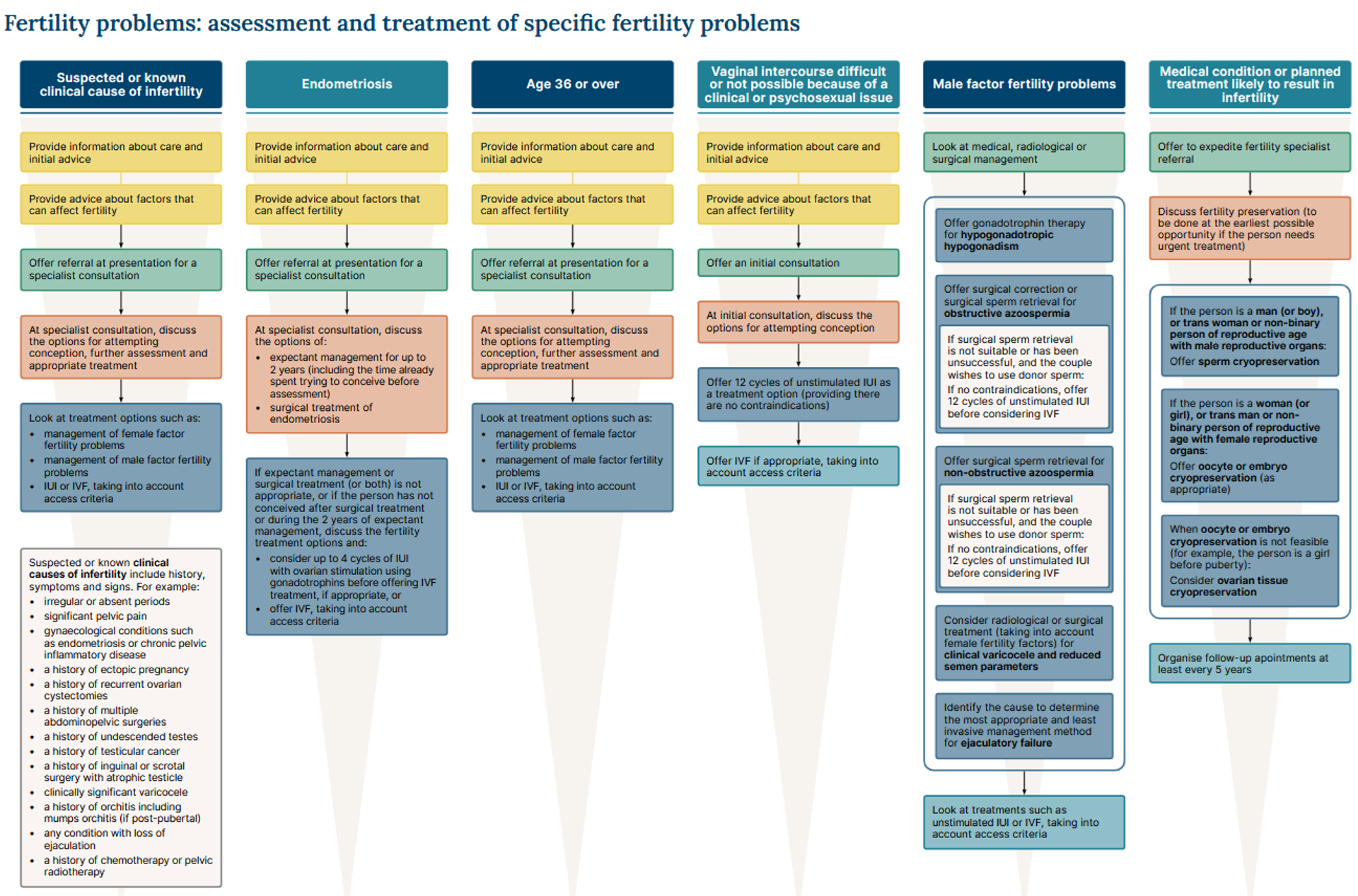 Flowchart illustrating assessment and treatment pathways for various fertility problems, categorized by cause (e.g., endometriosis, age, male factor), outlining steps from initial advice to advanced treatments.