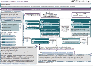 NICE - algorithm for management of glycaemia (glucose) in type 2 ...