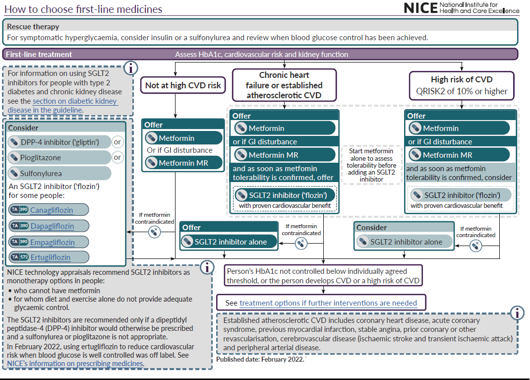 Detailed flowchart outlining first-line treatment options for type 2 diabetes based on cardiovascular risk, from the National Institute for Health and Care Excellence (NICE), published in February 2022.