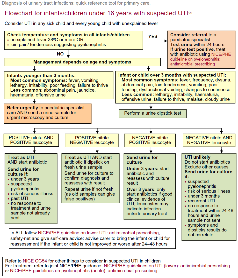 Flowchart for diagnosing urinary tract infections in infants and children under 16, depicting steps from symptom assessment to management recommendations based on age and test results.