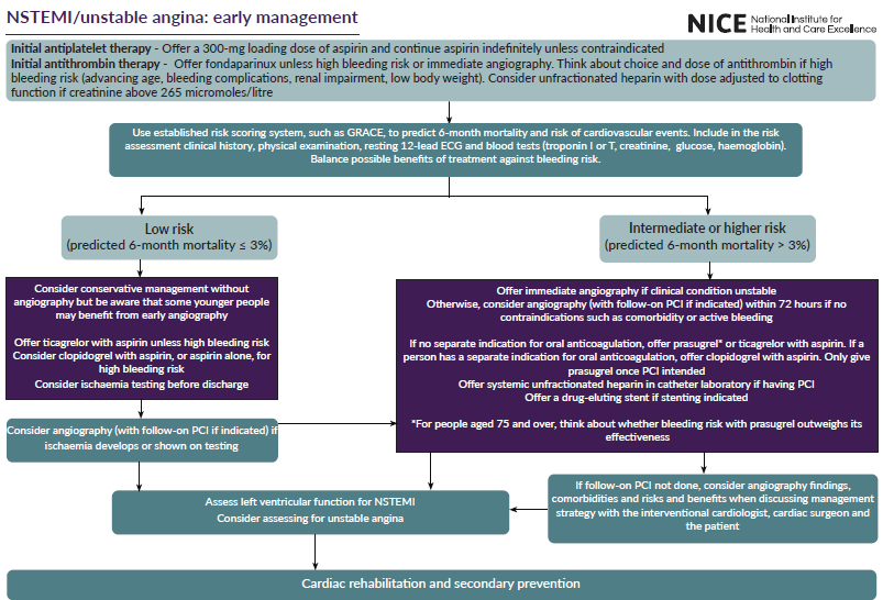 Flowchart detailing early management strategies for NSTEMI/unstable angina, including initial antithrombotic therapy, risk assessment, and treatment pathways based on mortality risk levels.