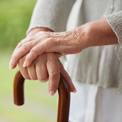 Close-up of elderly hands gripping a wooden walking cane