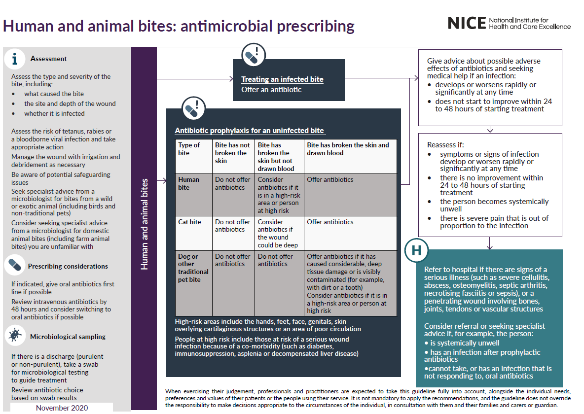 Flowchart from NICE detailing guidelines for antimicrobial prescribing for human and animal bites, including assessment, treatment of infected bites, and antibiotic prophylaxis for uninfected bites.