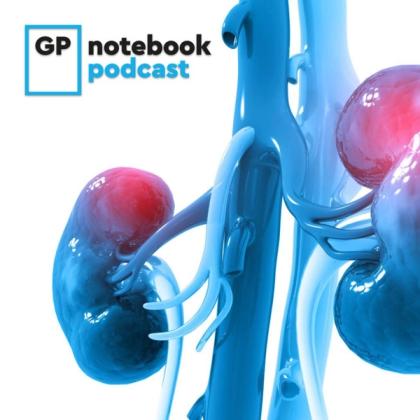 3D illustration of a human renal system with highlighted kidneys in red and blue, for the GP Notebook Podcast.