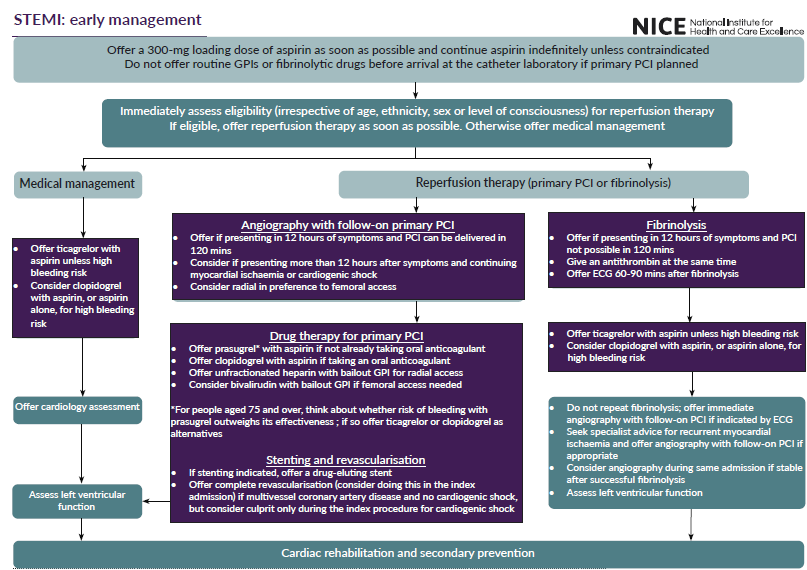 Detailed flowchart outlining early management protocols for STEMI including medical management, reperfusion therapy, drug therapy, and cardiac rehabilitation guidelines.