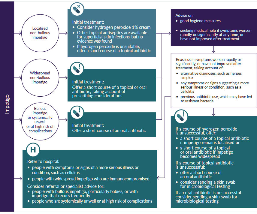 Flowchart detailing initial and subsequent treatment and advice for impetigo based on its type and severity, including antibiotic use and hospital referral guidelines.