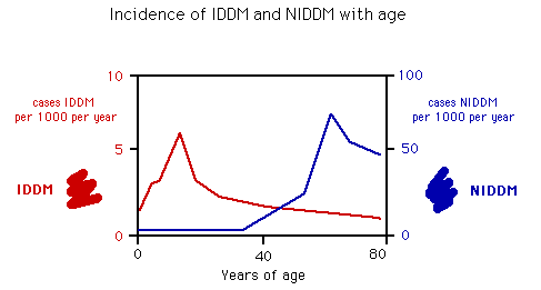 Graph showing incidence of IDDM and NIDDM with age, displaying cases per 1000 per year with IDDM in red peaking at age 15, and NIDDM in blue peaking at age 50.