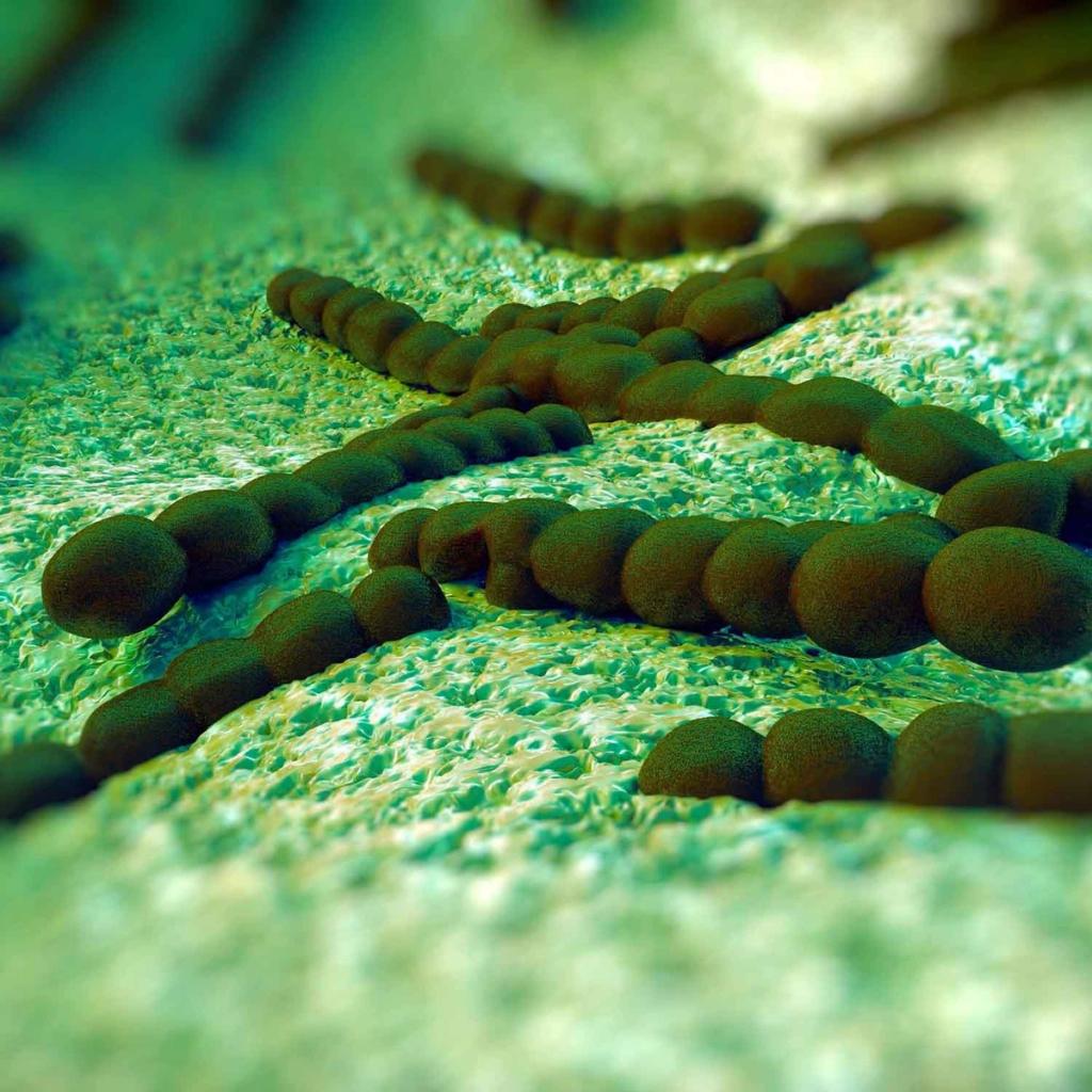 Dark green Streptococcus bacteria chains on a textured green surface.