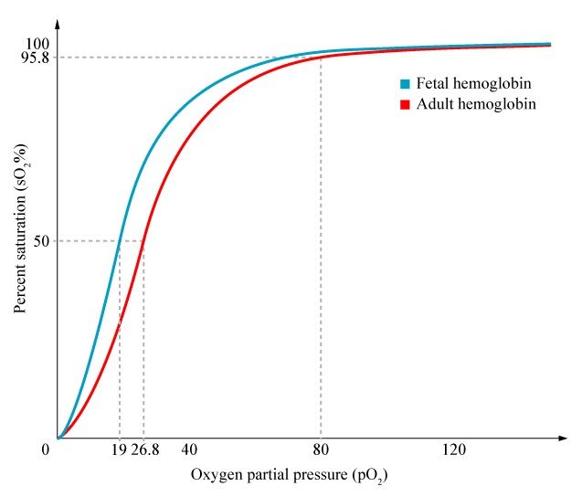 Oxygen dissociation curves (ODCs) for human hemoglobin (Hb) at 3