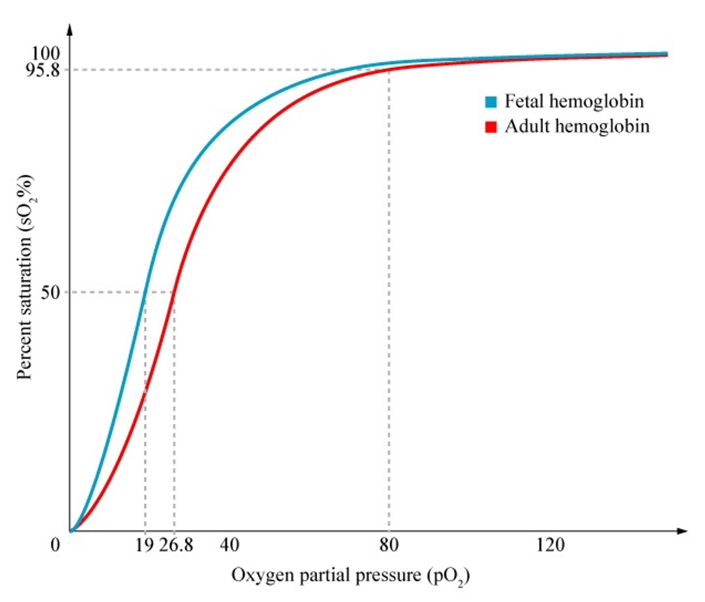 Left shift of the oxygen-haemoglobin dissociation curve – Primary Care ...