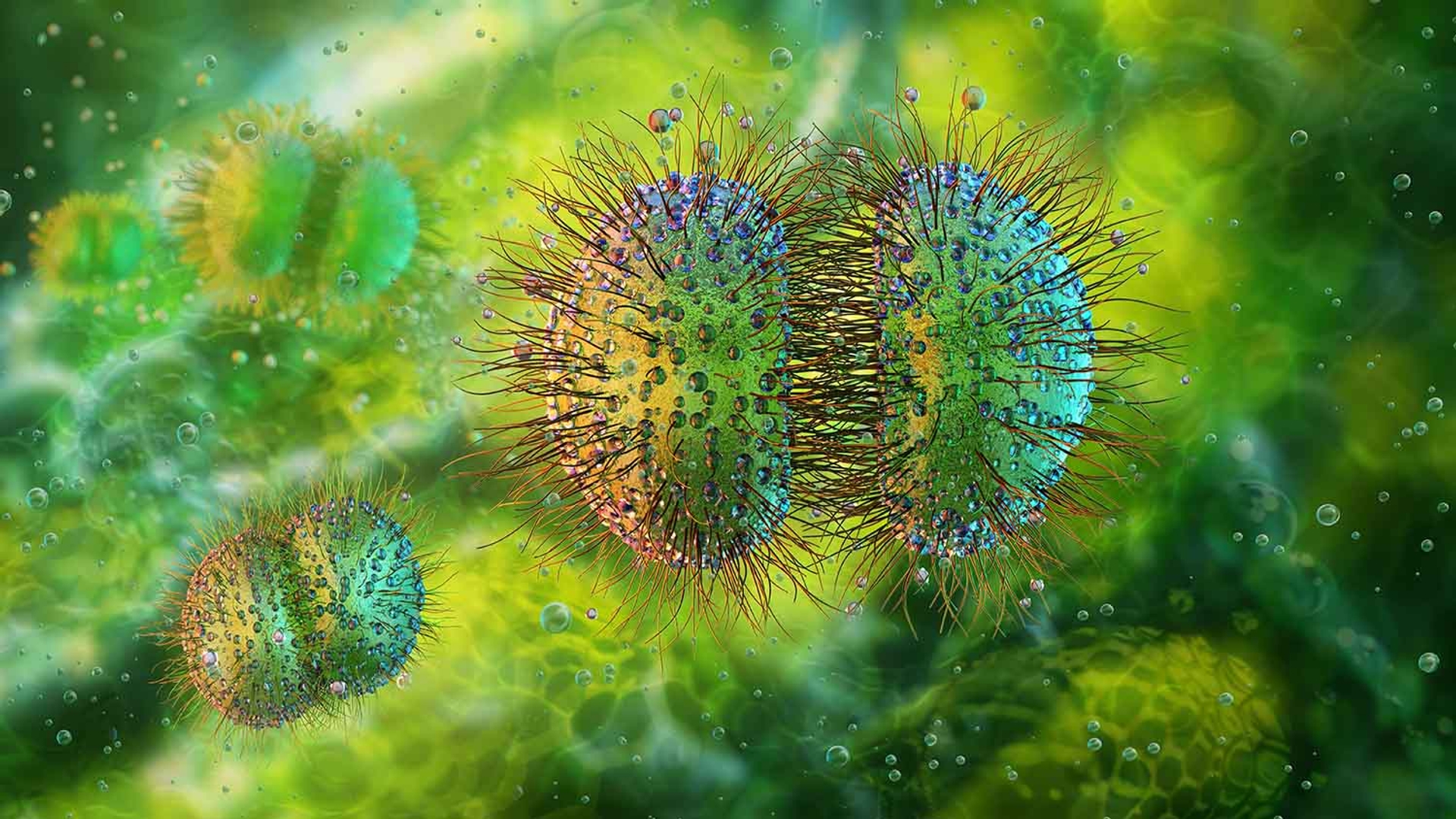 Colorful spiky bacteria dividing in a green fluid.