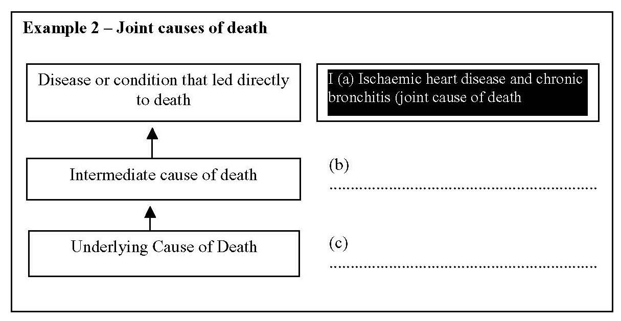 Flowchart explaining joint causes of death with ischemic heart disease and chronic bronchitis as an example, showing the progression from underlying cause to intermediate cause, leading directly to death.