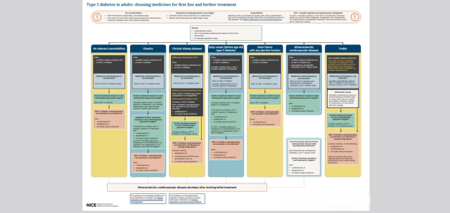 Pragmatic algorithm for the management of glycaemic (glucose) control ...