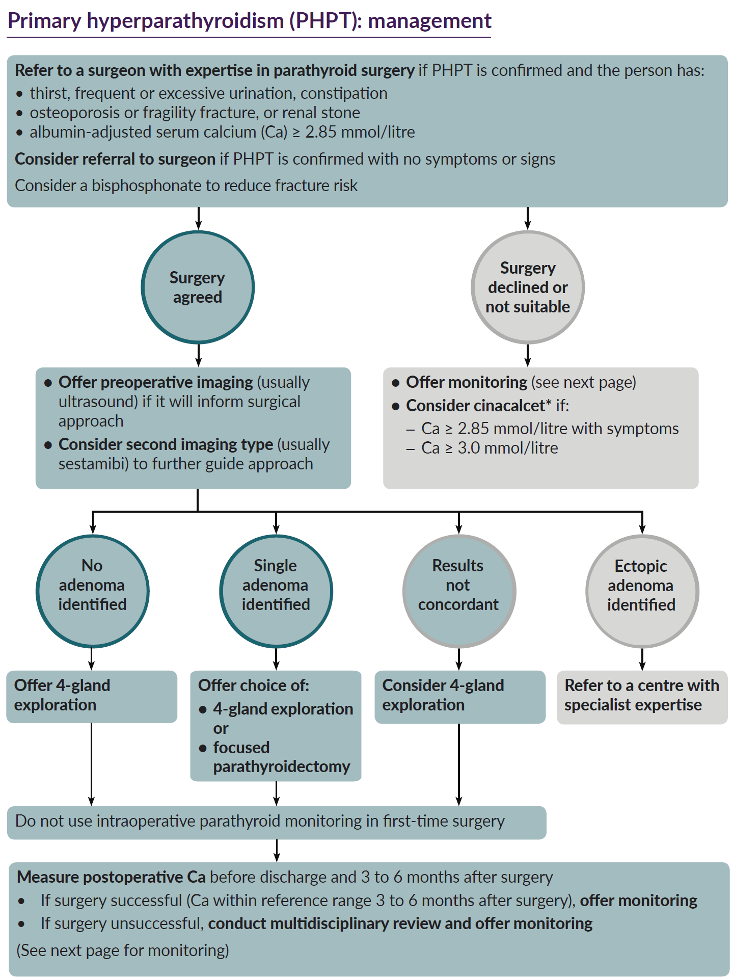 Flowchart detailing the management of primary hyperparathyroidism (PHPT), including steps for surgery decisions, preoperative preparations, and postoperative monitoring.