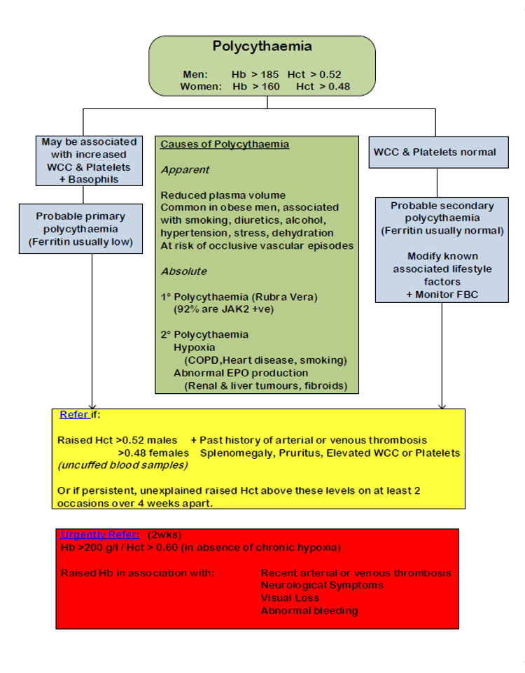 raised-red-blood-cell-count-gpnotebook