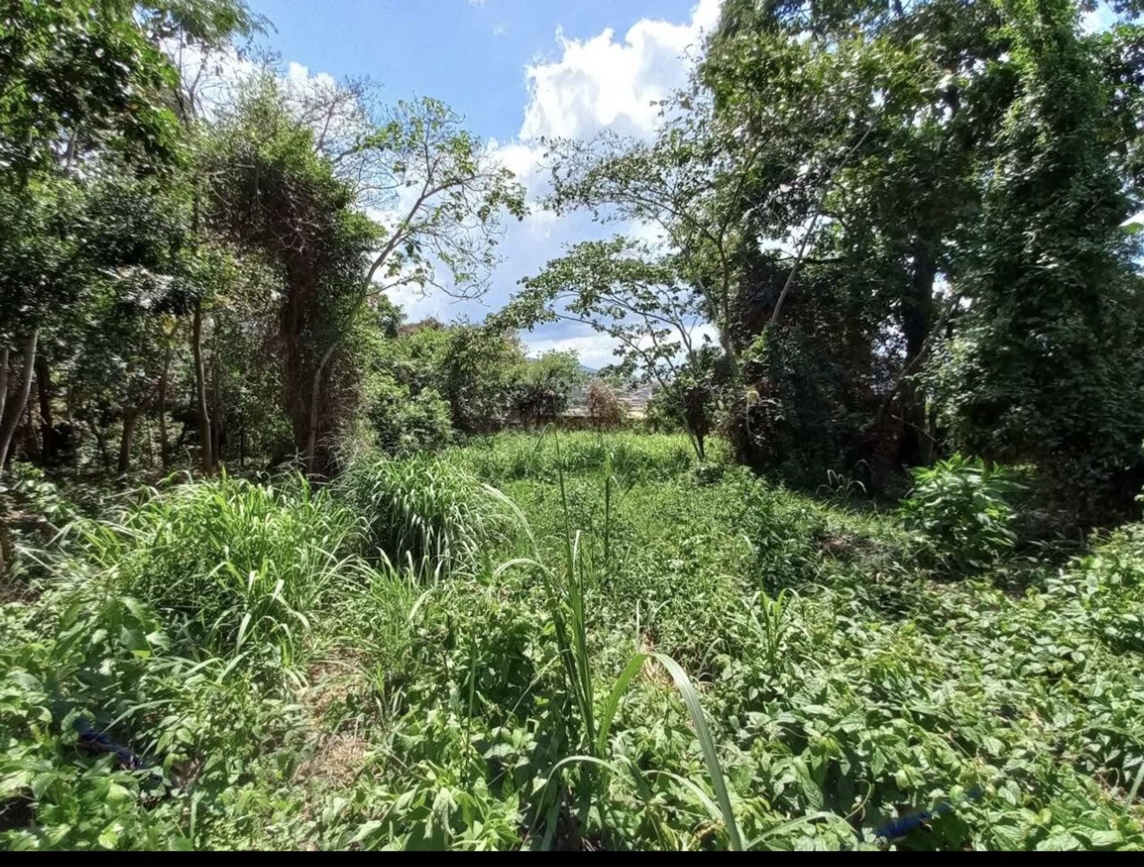 Terreno comercial de 4.912 m² en avenida las Pilas — foto 7