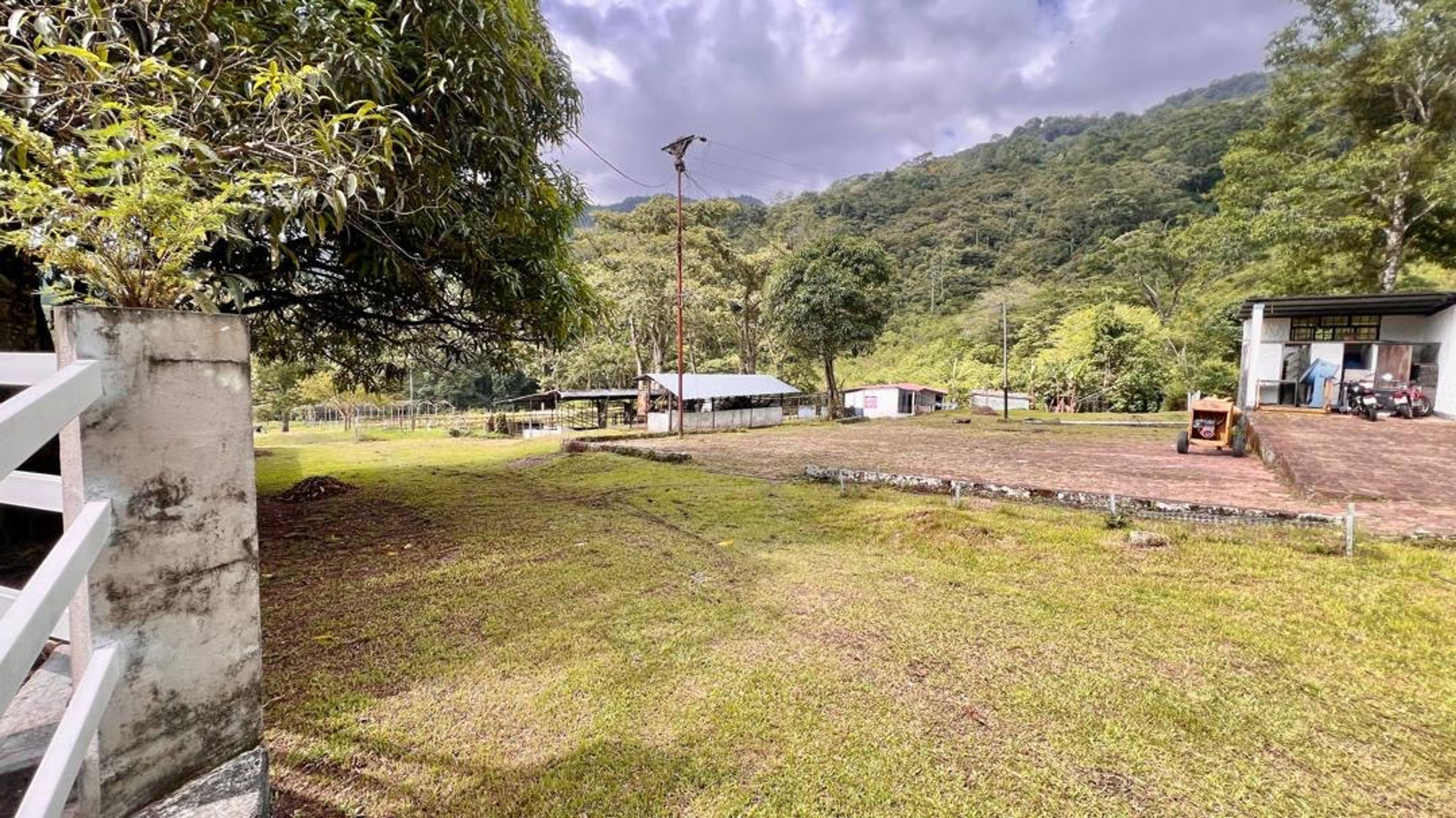 Finca agropecuaria de 23 hectáreas en vía Chorro El Indio sector Pedraza — foto 15