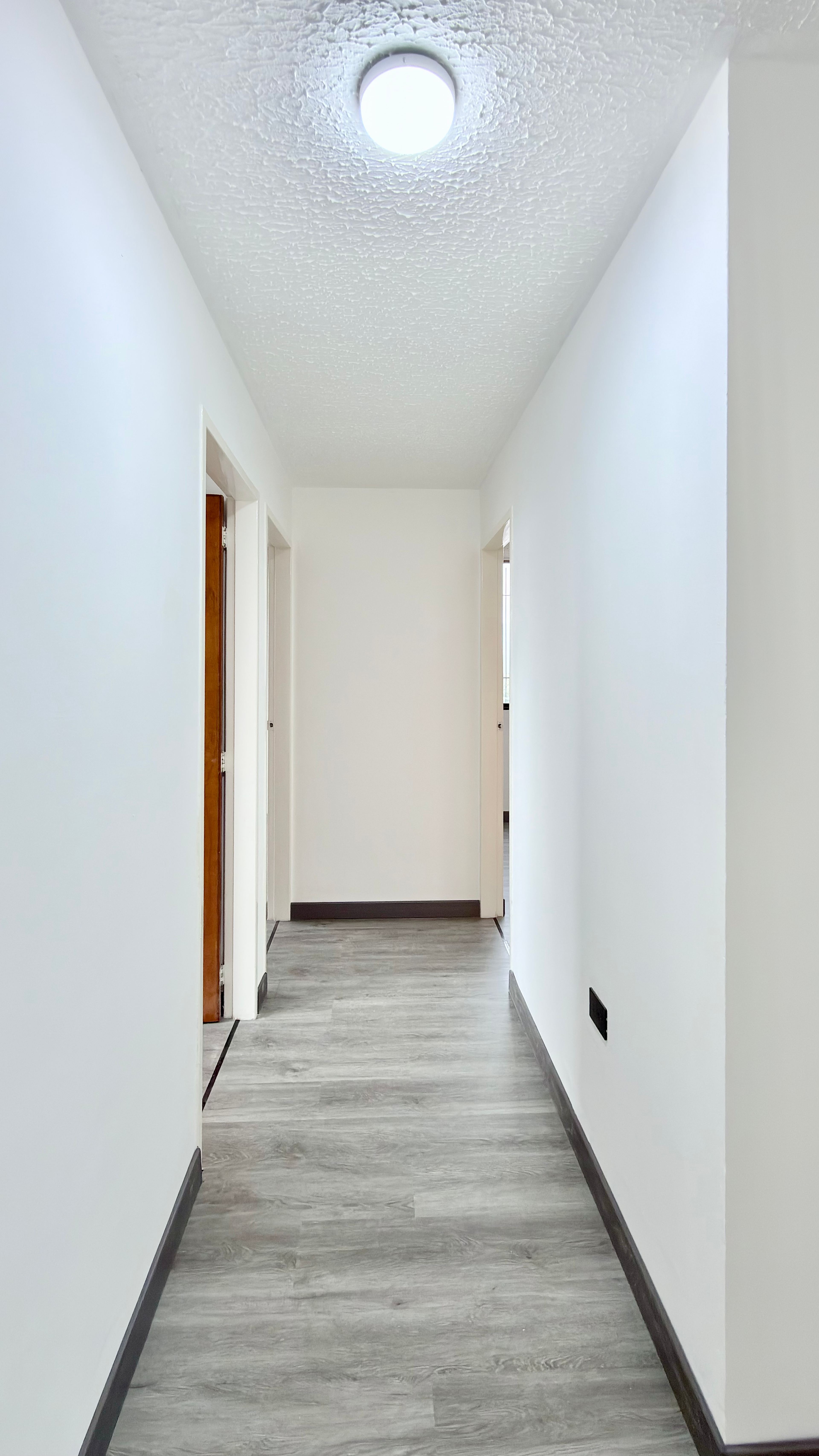 Apartamento recién remodelado con vista a la avenida en Residencias Alta Vista — foto 10