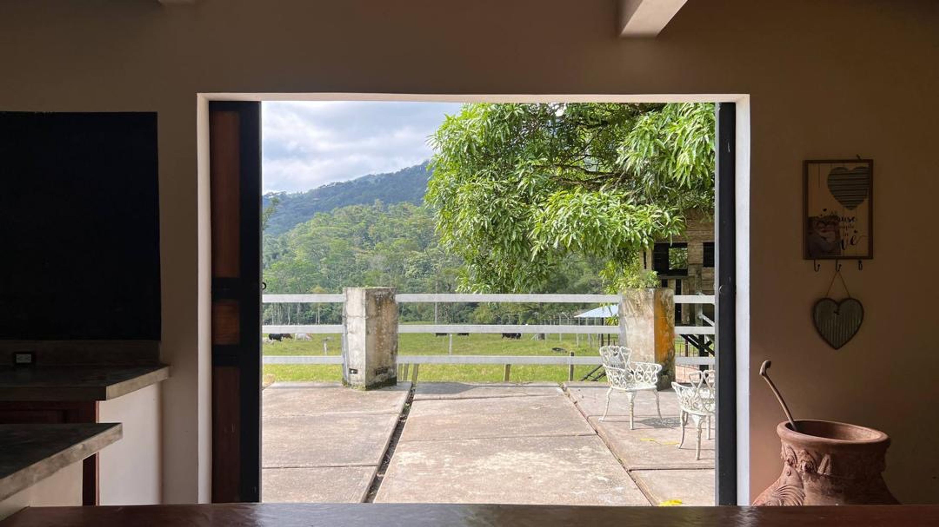 Finca agropecuaria de 23 hectáreas en vía Chorro El Indio sector Pedraza — foto 5