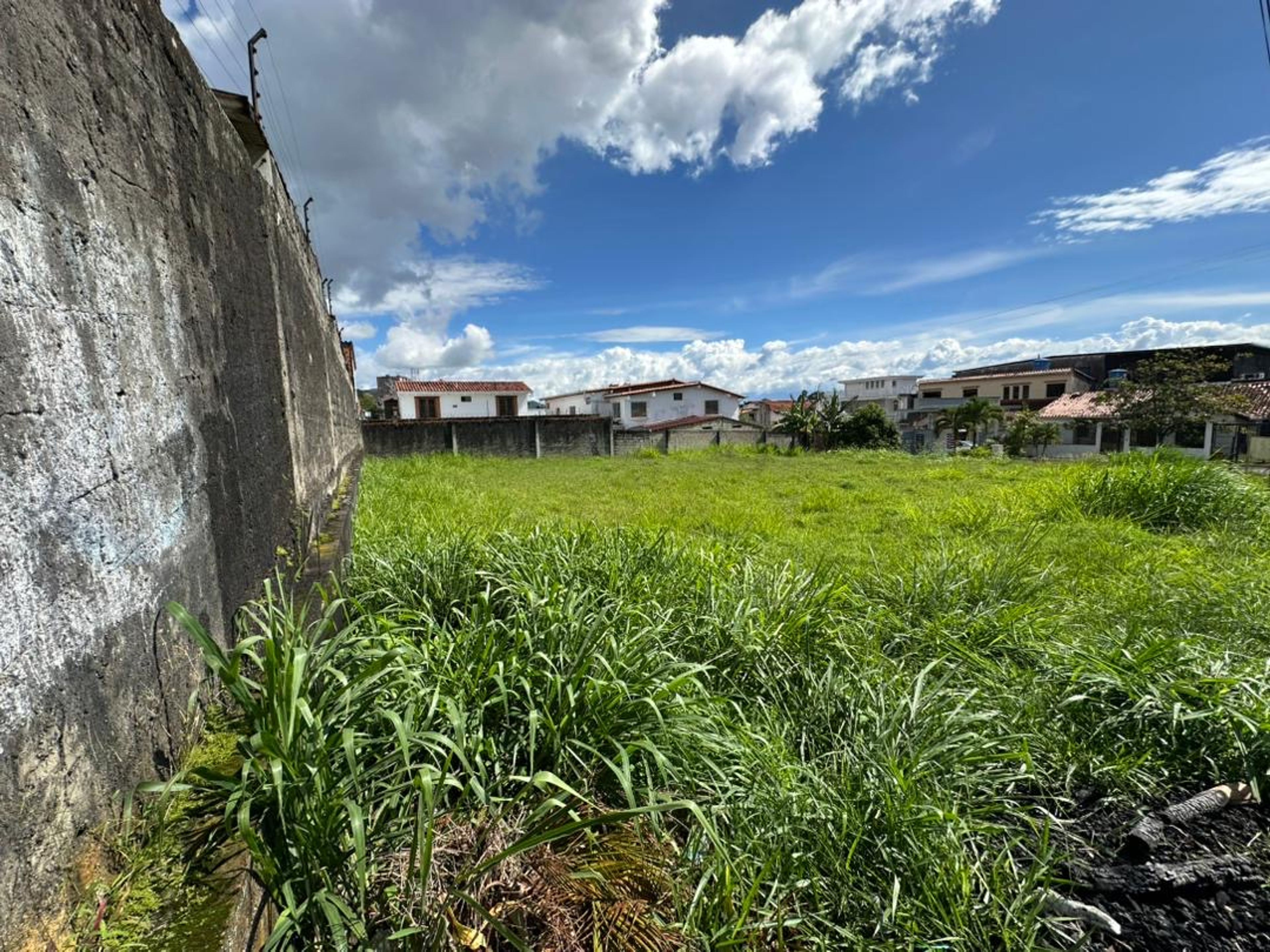 Terreno comercial a pie de calle en Avenida ULA, junto a Villa Florida — foto 6