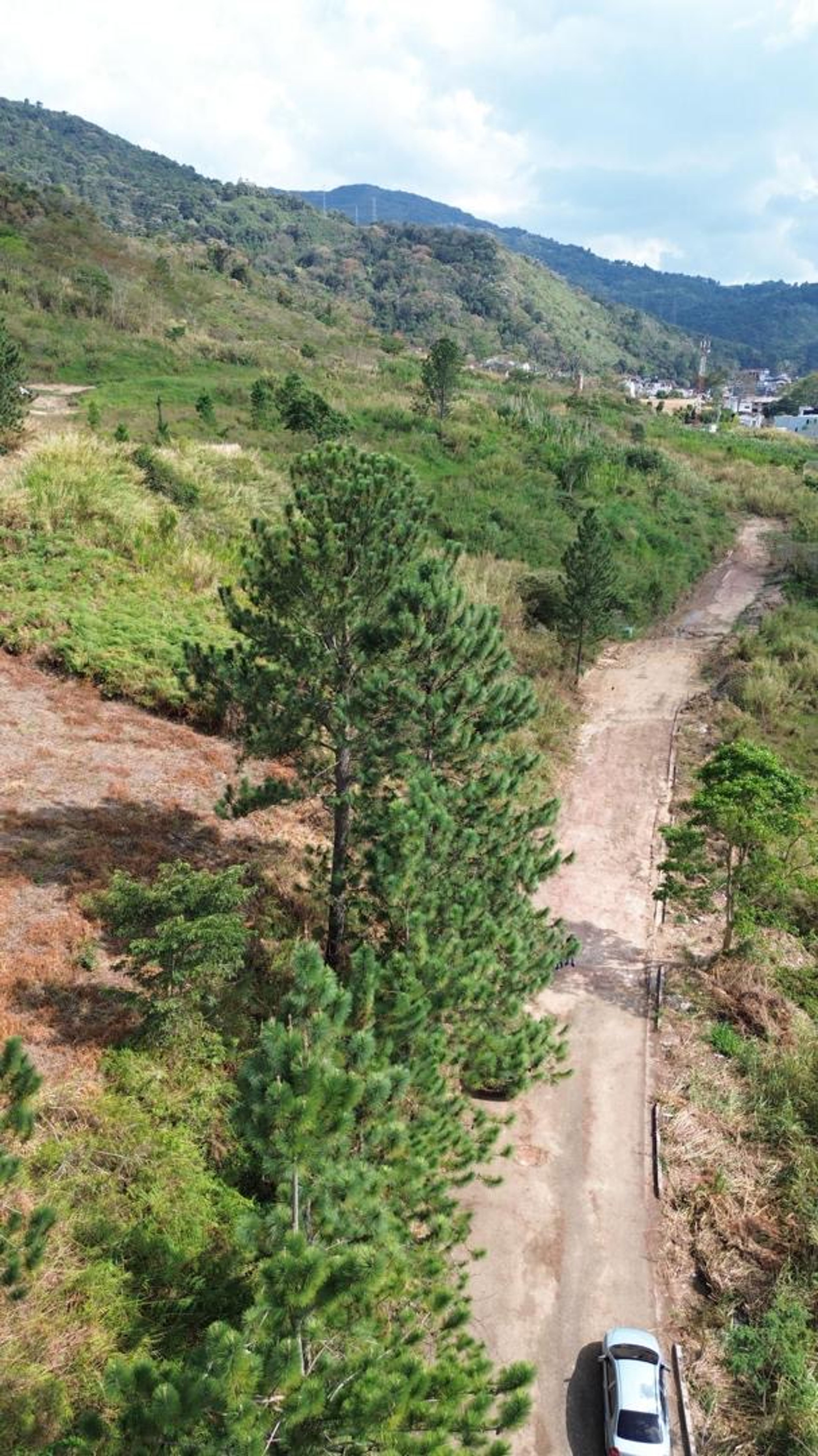 4 parcelas continuas para desarrollo urbanístico en Tachira Country, Pirineos II — foto 5