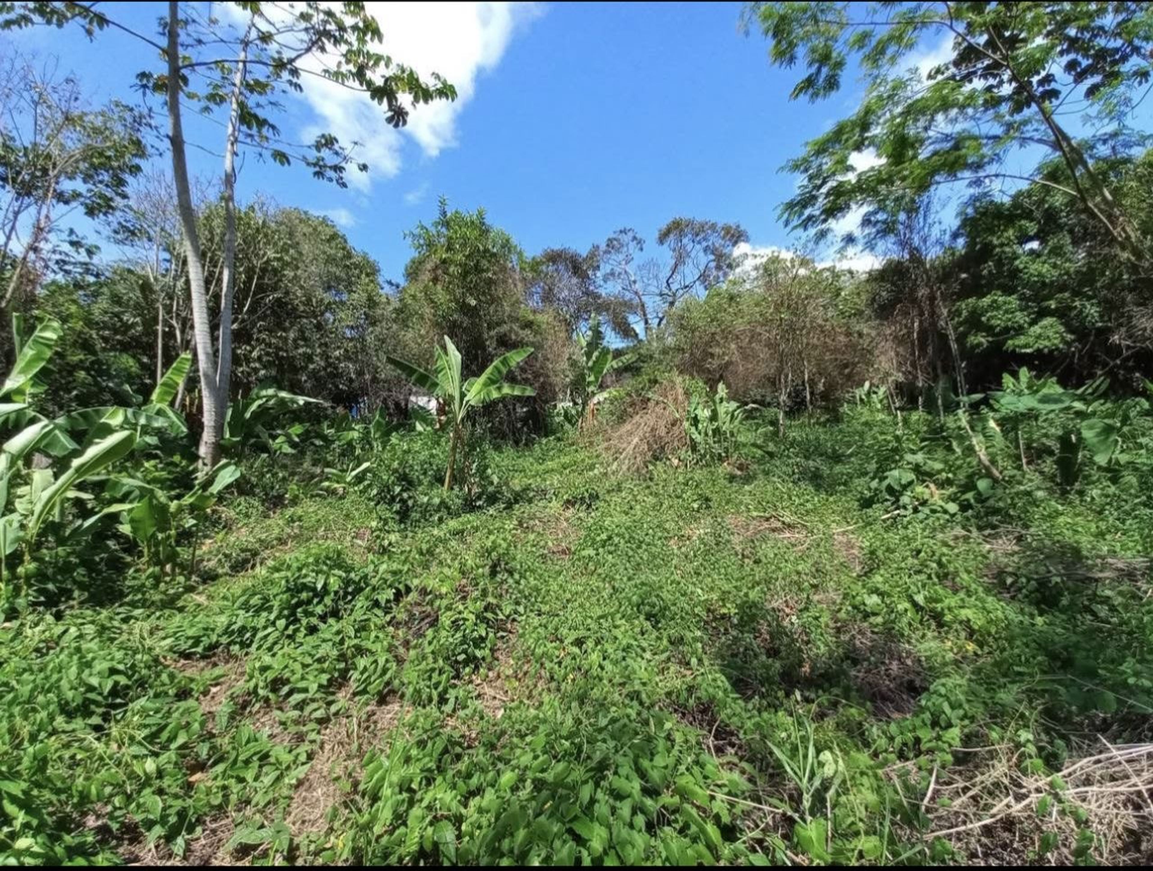 Terreno o parcela en Avenida Ferrero Tamayo, San Cristóbal — foto 2