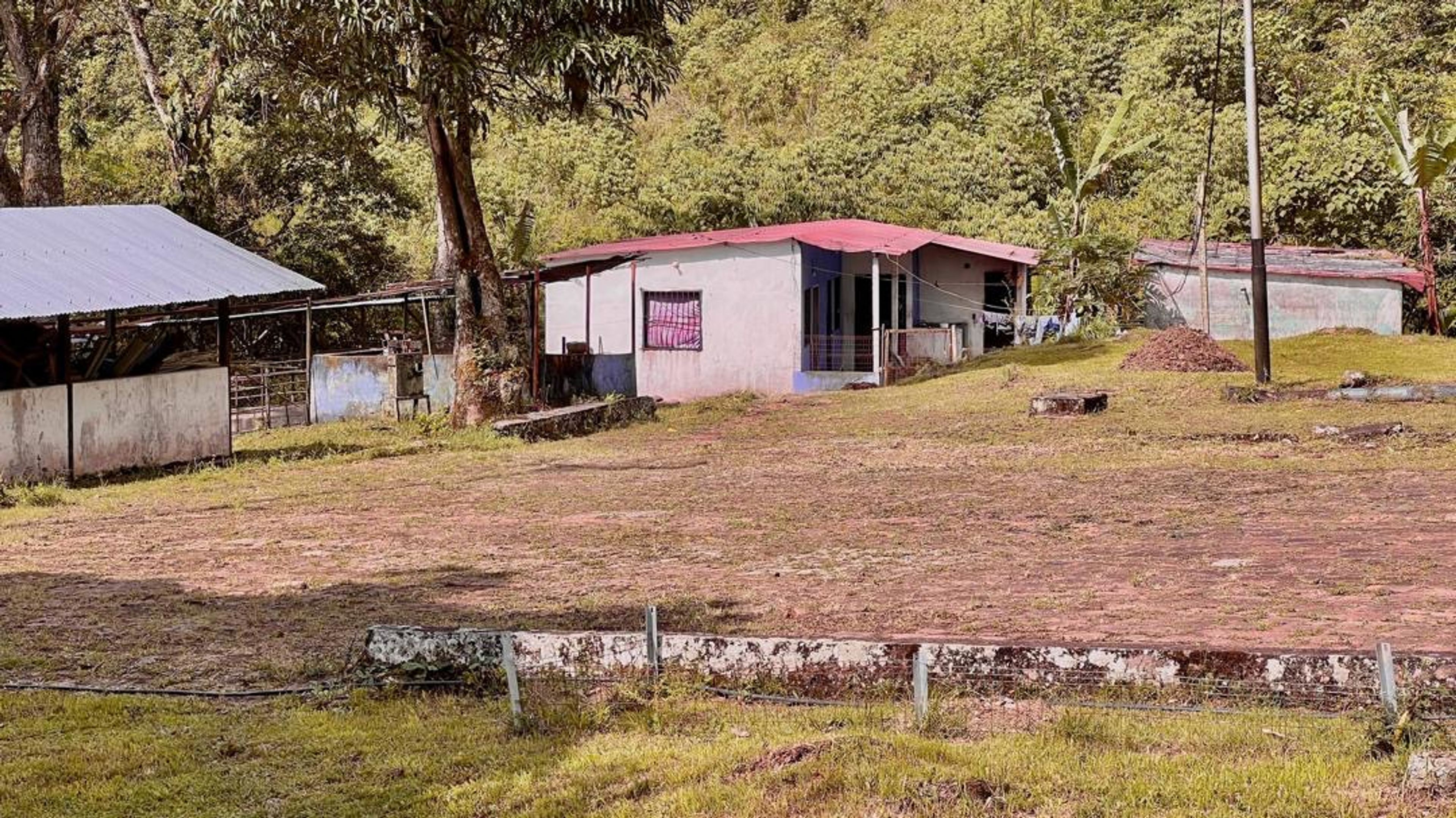 Finca agropecuaria de 23 hectáreas en vía Chorro El Indio sector Pedraza — foto 11
