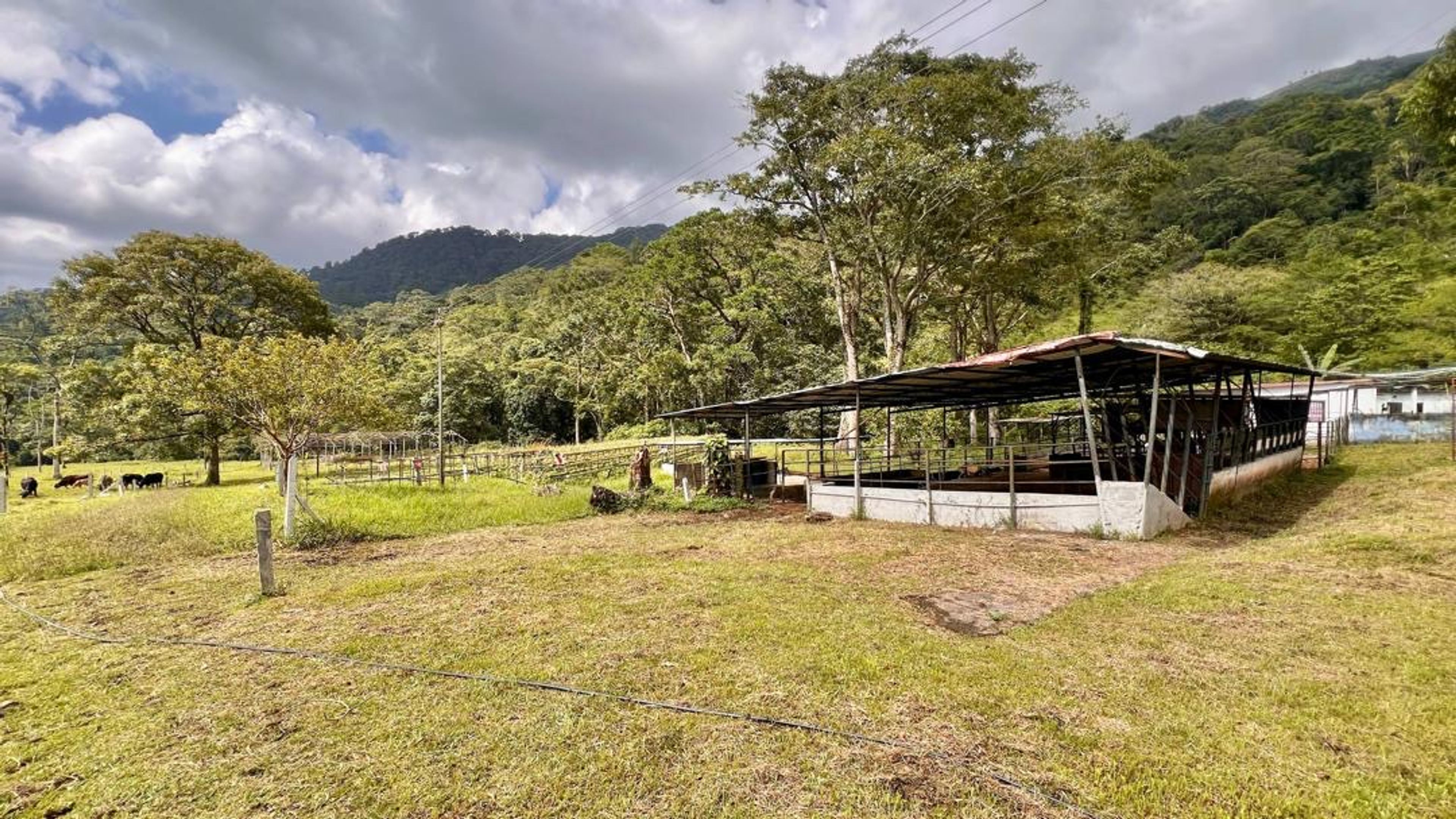 Finca agropecuaria de 23 hectáreas en vía Chorro El Indio sector Pedraza — foto 18