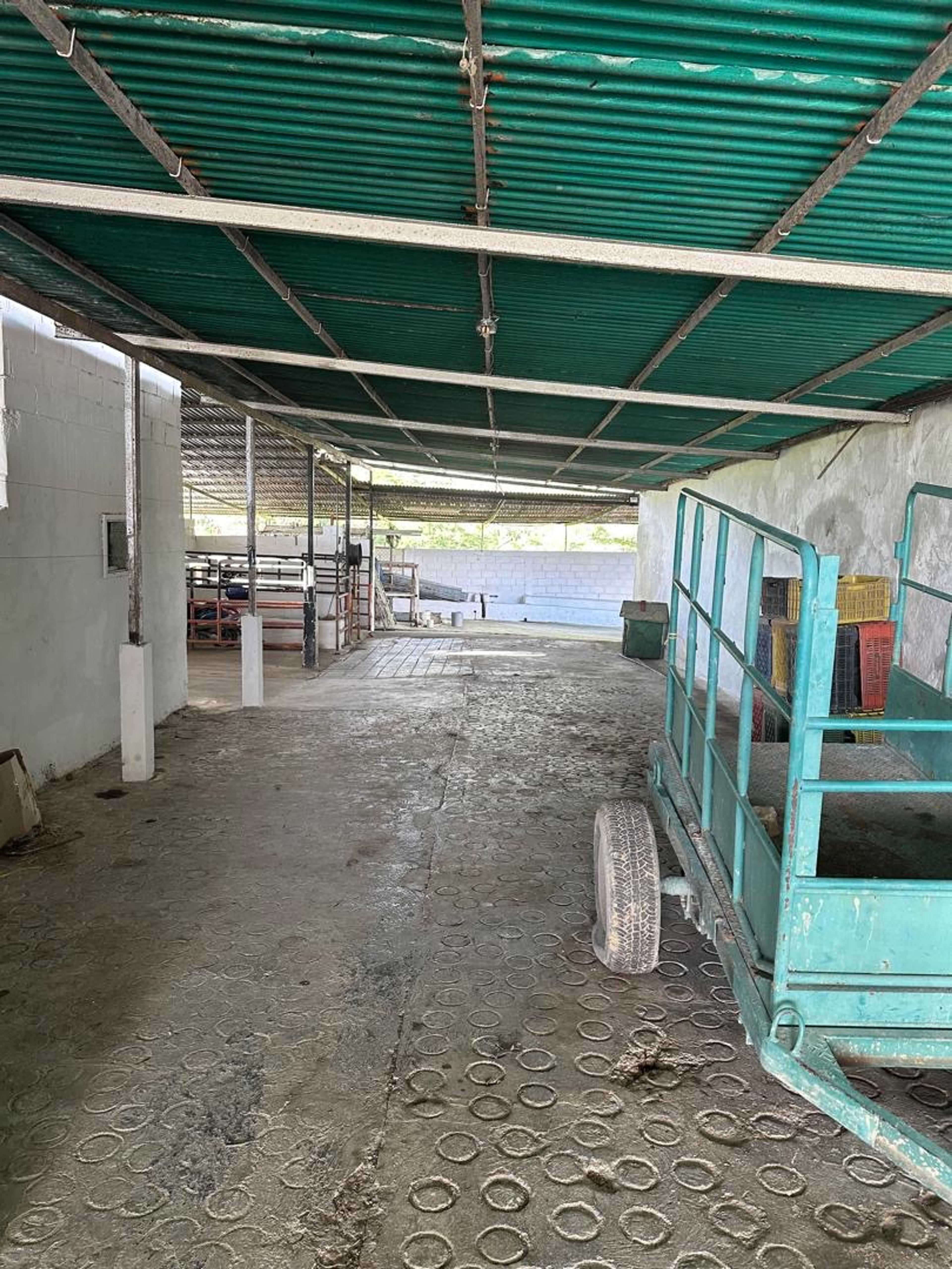 Finca de 8 hectáreas en Casa del Padre — foto 15