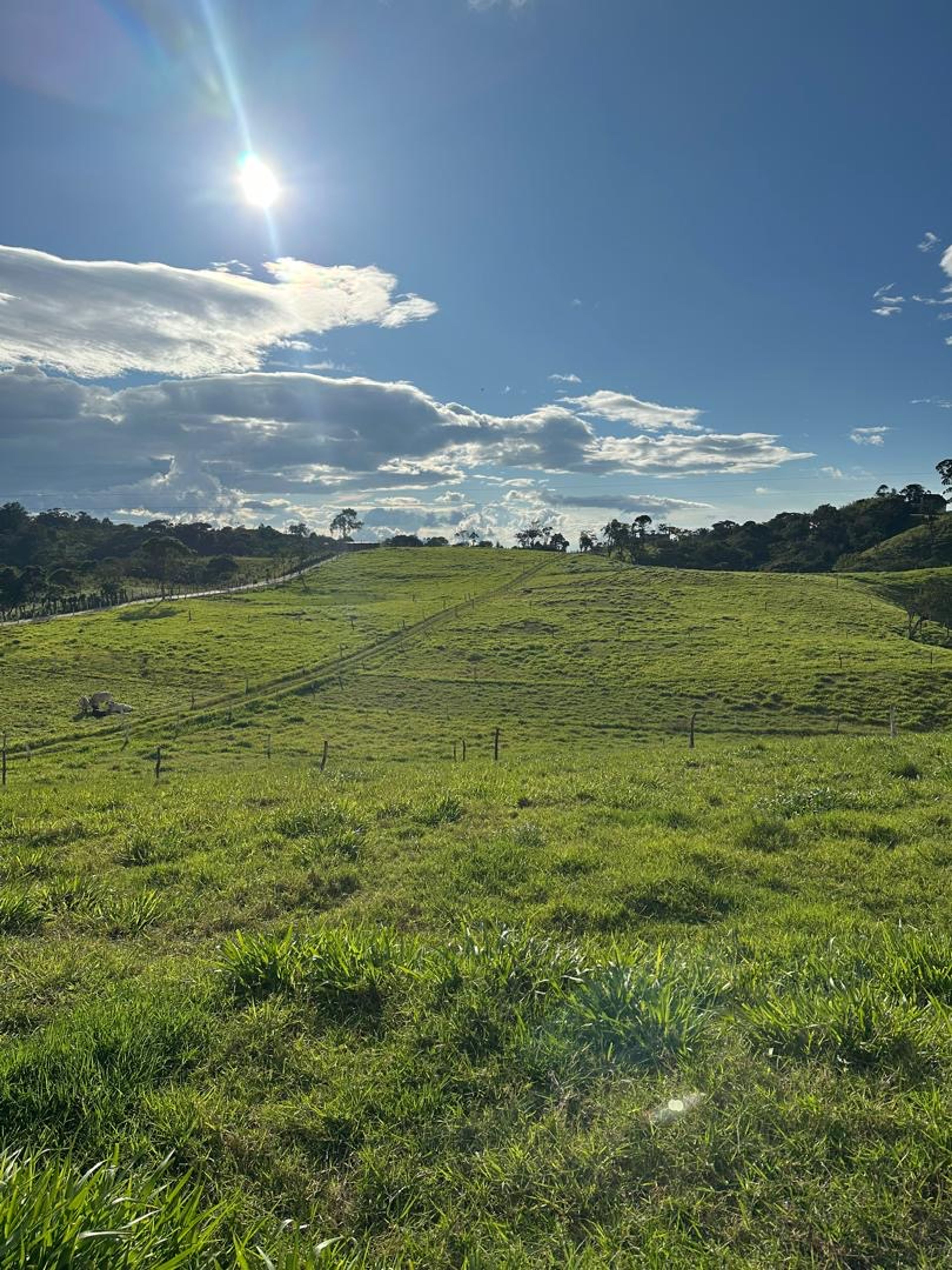 Finca de 8 hectáreas en Casa del Padre — foto 11