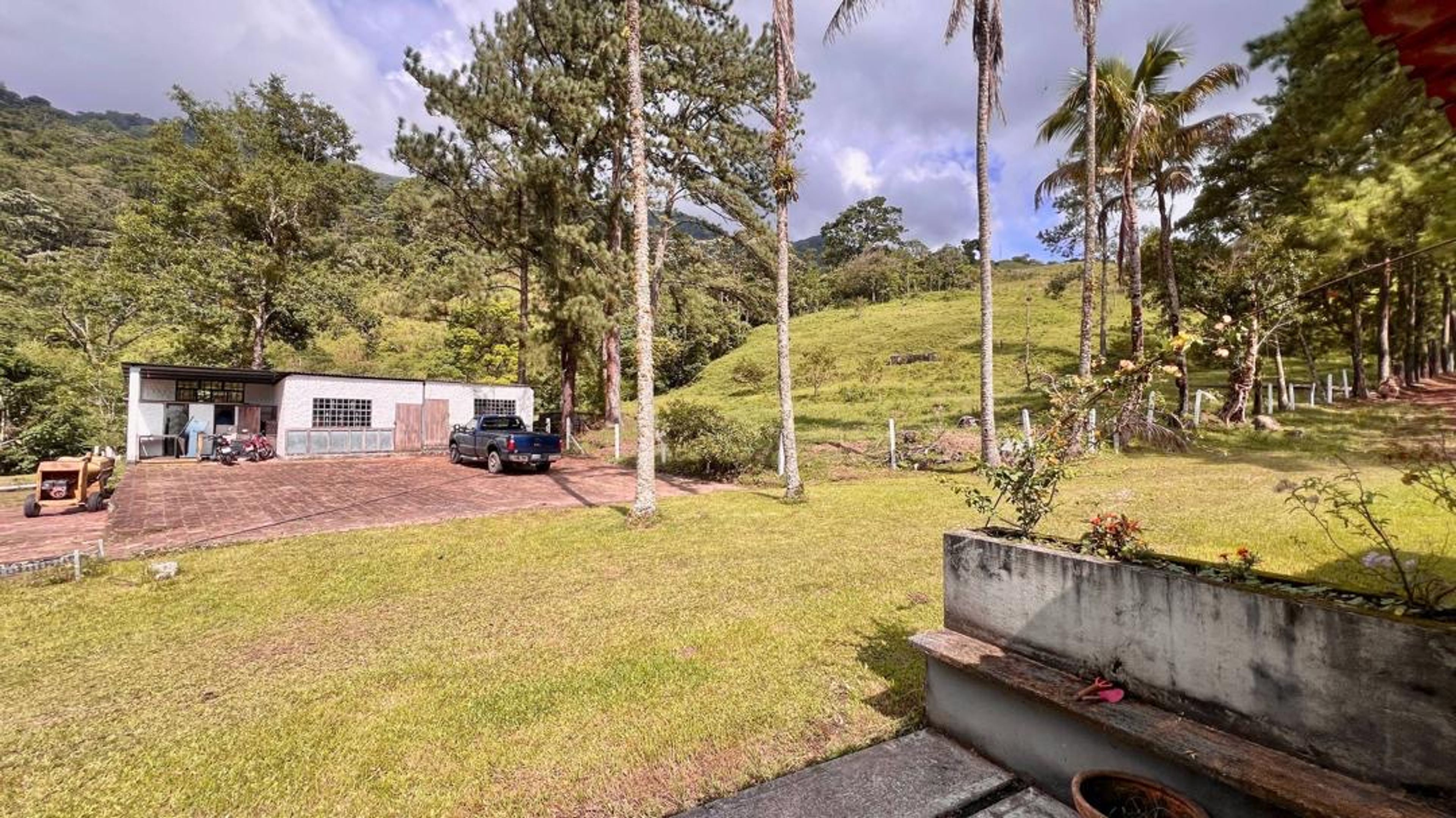 Finca agropecuaria de 23 hectáreas en vía Chorro El Indio sector Pedraza — foto 10