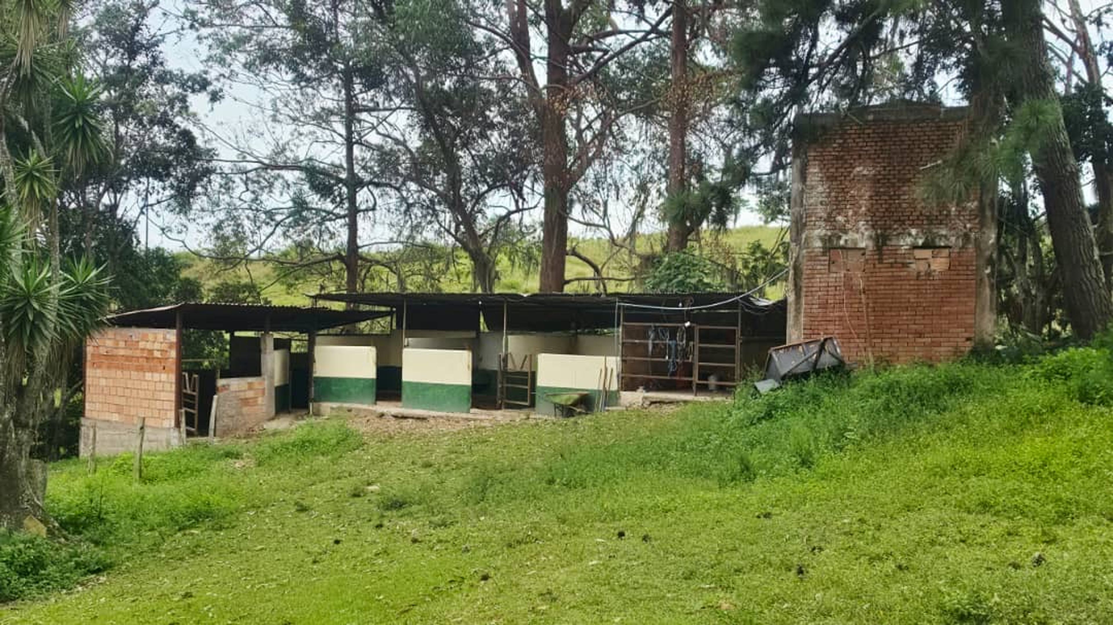Fundo agroturístico y posada de 1,25 Ha con piscina, caballeriza y eventos en Palmira — foto 8