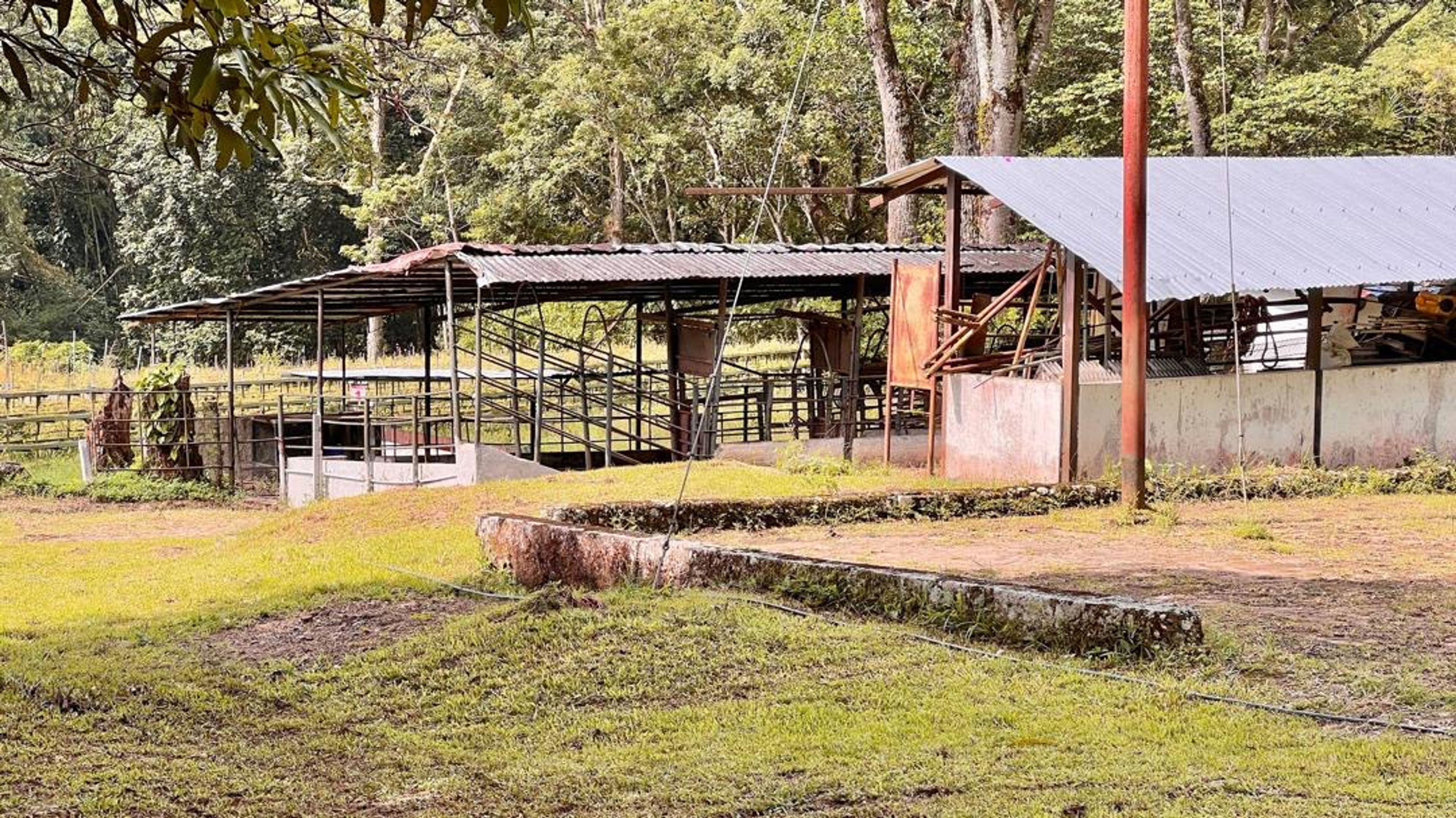 Finca agropecuaria de 23 hectáreas en vía Chorro El Indio sector Pedraza — foto 16