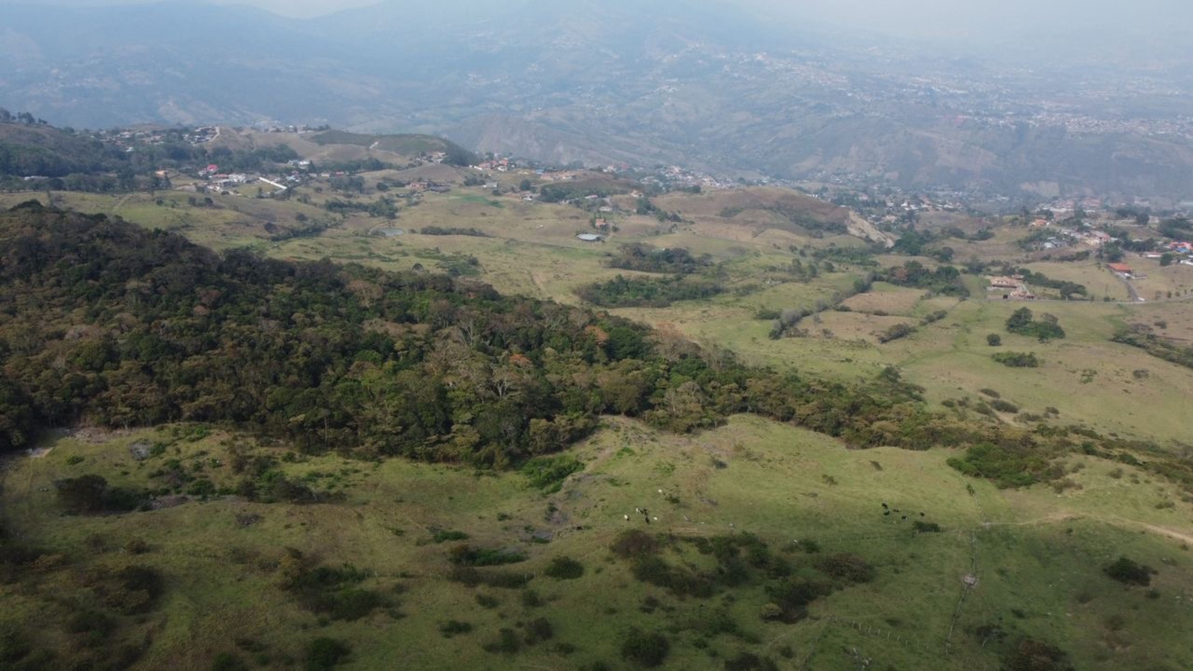 Terreno turístico y agrícola de 6,5 hectáreas con agua propia en los Páramos de Capacho — foto 9